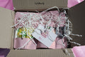 Pack découverte classique